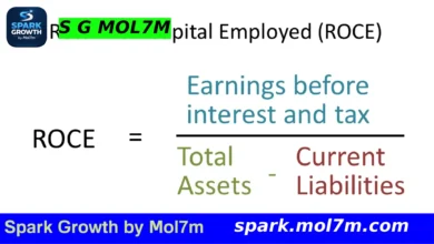 Calculate Return on Capital