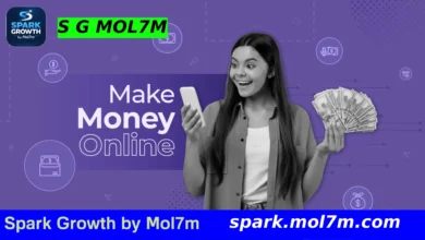 Why Making Money Online is a Smart Choice, Top 10 Best Online Money Making Methods